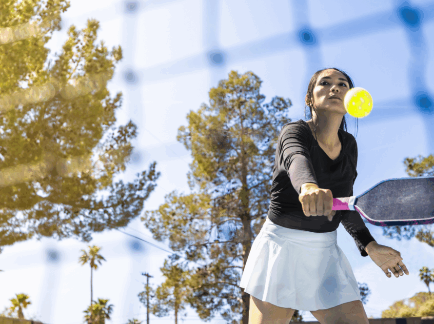 dink pickleball
